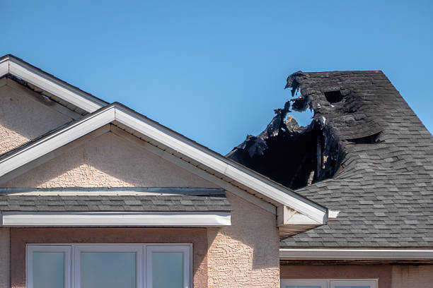 Top rated local Board Up Services specialists in Goodhue, MN